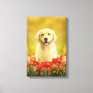 Golden Retirever in Red Flowers Canvas Print