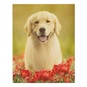 Golden Retirever in Red Flowers Faux Canvas Print