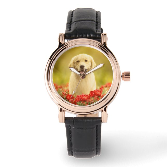 Golden Retirever in Red Flowers Watch (Front)