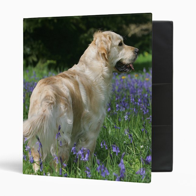 Golden Retreiver in Flowers Binder (Front/Inside)