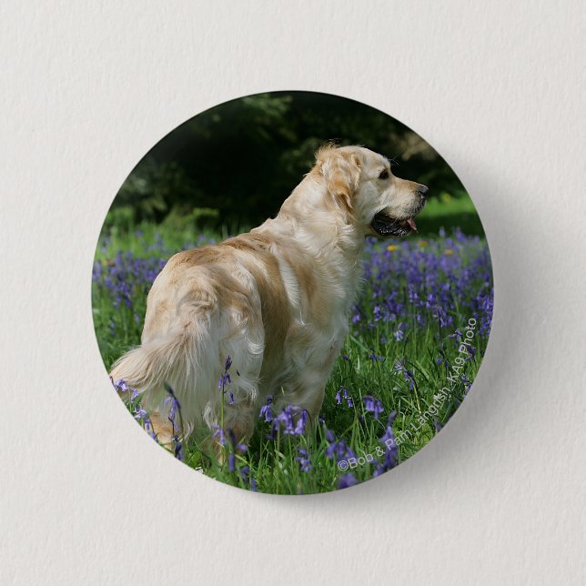 Golden Retreiver in Flowers Button (Front)