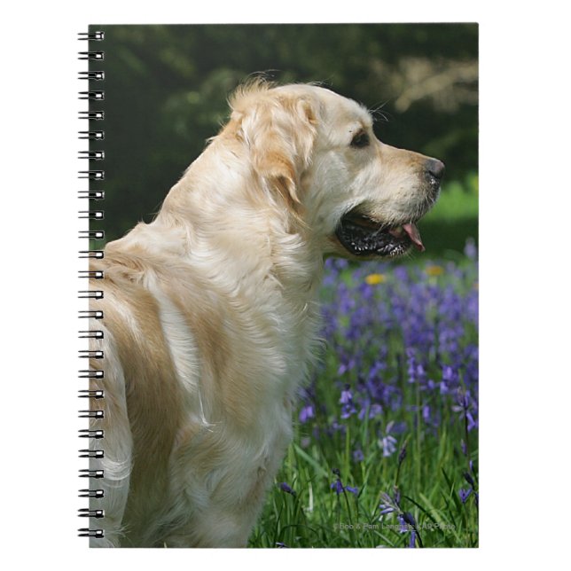 Golden Retreiver in Flowers Notebook (Front)