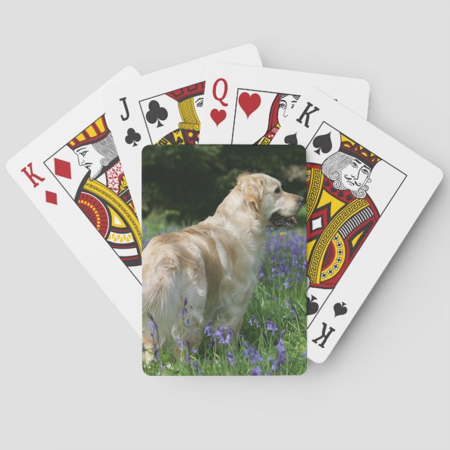 Golden Retreiver in Flowers Poker Cards (Back)