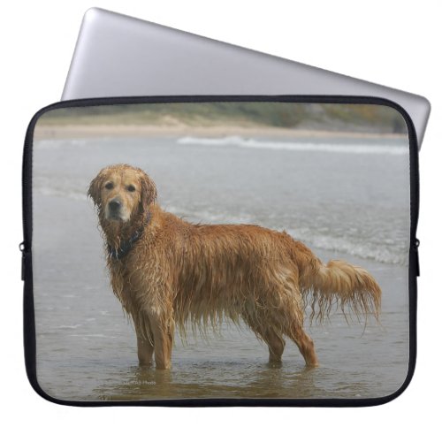 Golden Retreiver in the Sea Laptop Sleeve