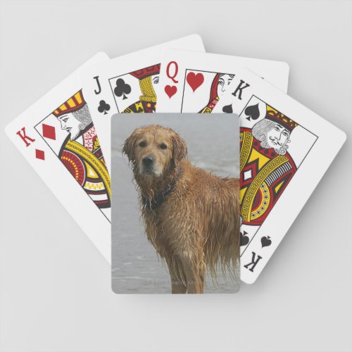 Golden Retreiver in the Sea Playing Cards