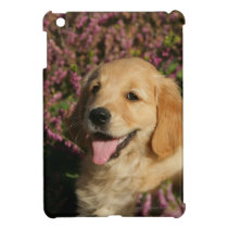 Golden Retreiver Puppy Case For The iPad Mini