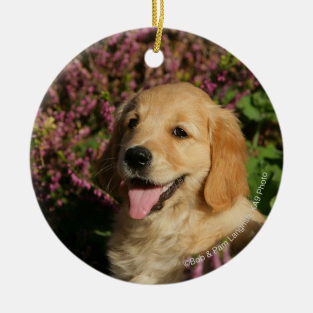 Golden Retreiver Puppy Ceramic Ornament (Front)