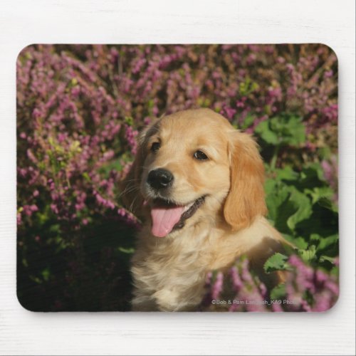 Golden Retreiver Puppy Mouse Pad