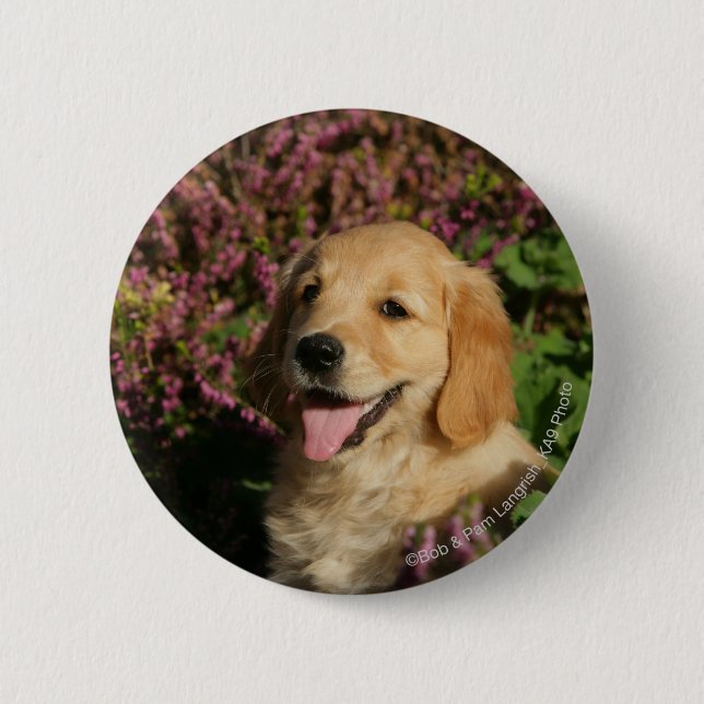 Golden Retreiver Puppy Pinback Button (Front)