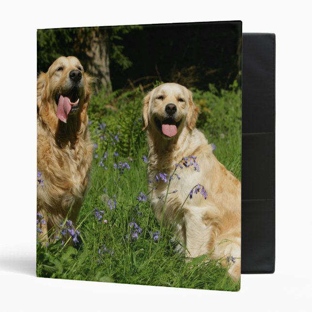 Golden Retreivers in Grass Binder (Front/Inside)