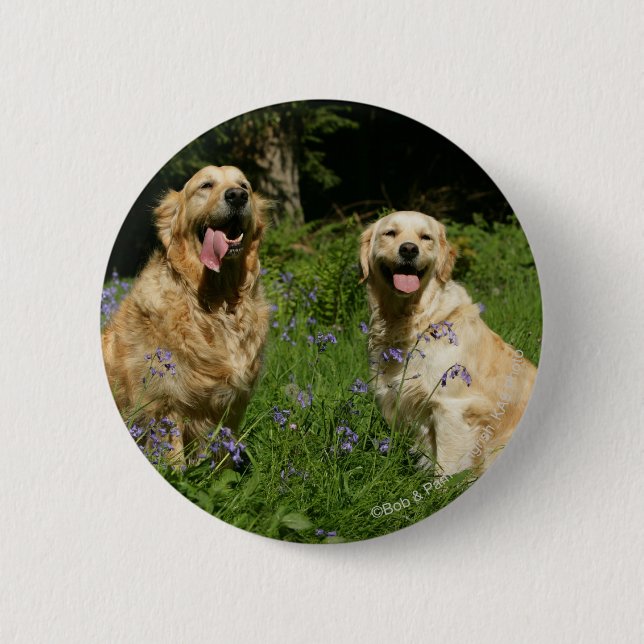 Golden Retreivers in Grass Pinback Button (Front)