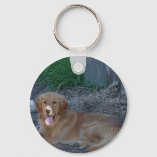 Golden Retrieve Keychain