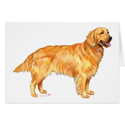 Golden Retriever (Front Horizontal)