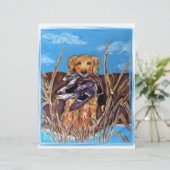 GOLDEN RETRIEVER (Standing Front)