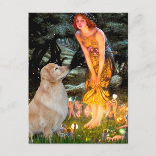 Golden Retriever 11 _ Mid Eve Postcard