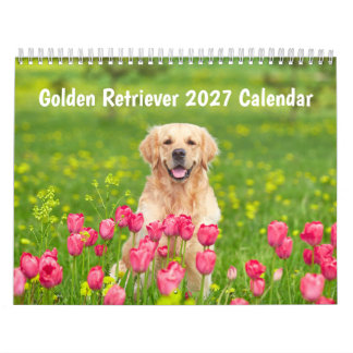 Golden retriever 2027 Calendar