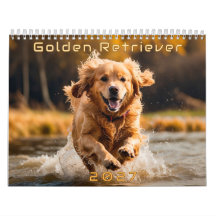 Golden Retriever 2027 Calendar