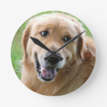 golden-retriever-31 round clock