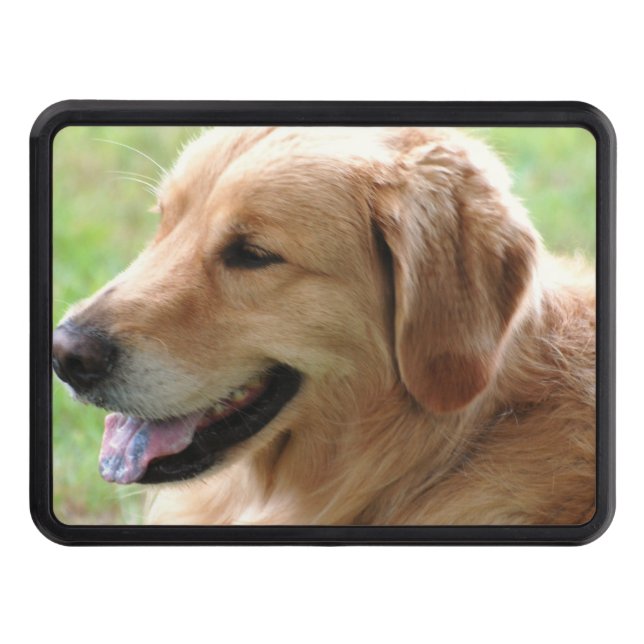 golden-retriever-33 hitch cover (Front)