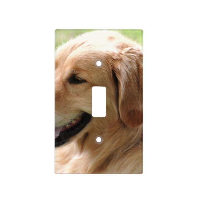 golden-retriever-33 light switch cover (Front)