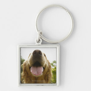 Golden Retriever 5 Keychain