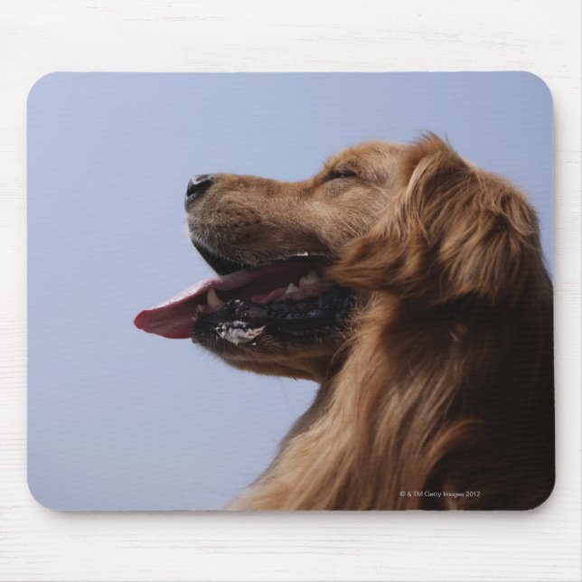 Golden Retriever 6 Mouse Pad (Front)