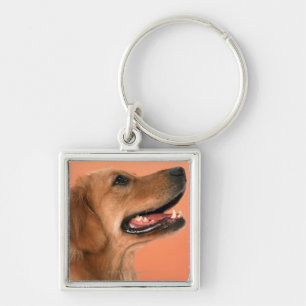 Golden Retriever 7 Keychain
