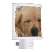 golden-retriever-8 night light (Right)