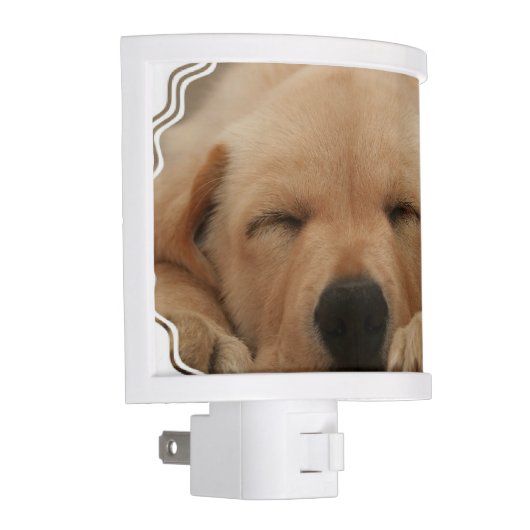 golden-retriever-8 night light (Right)