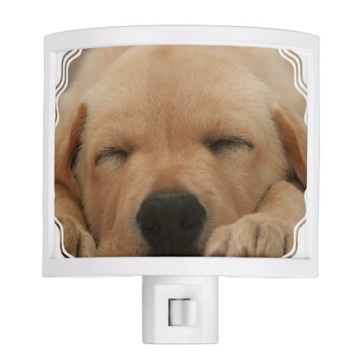golden-retriever-8 night light (Front)