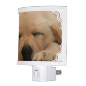 golden-retriever-8 night light (Left)