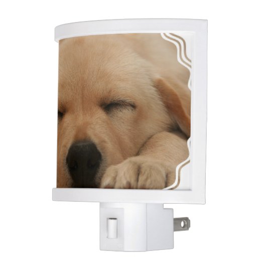 golden-retriever-8 night light (Left)