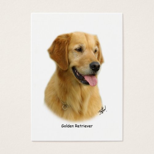 Golden Retriever 9K011D_08