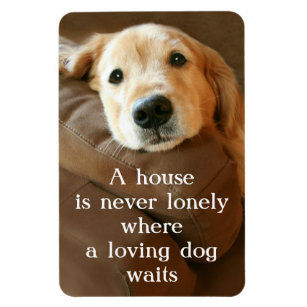 Golden Retriever A House Is Never Lonely Magnet