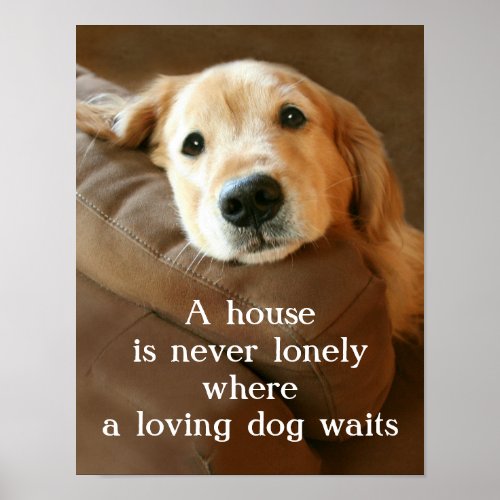 Golden Retriever A House Is Never Lonely Poster