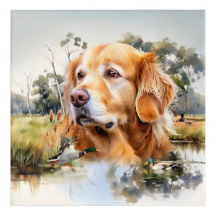 Golden Retriever Acrylic Print