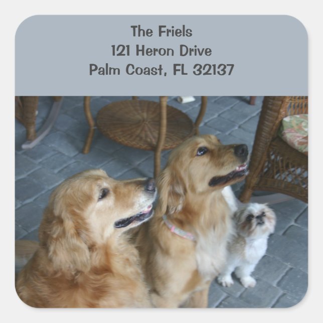 Golden Retriever Address Sticker (Front)