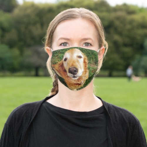 Golden Retriever Adult Cloth Face Mask