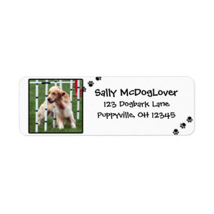 Golden Retriever Agility Label