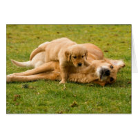 Golden Retriever and Puppy Father's Day Card