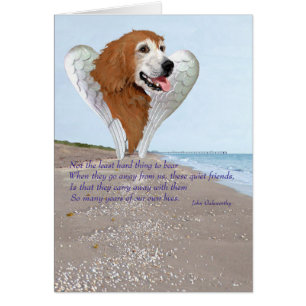 Golden Retriever Angel Cards