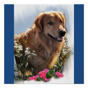Golden Retriever Art Gifts Poster