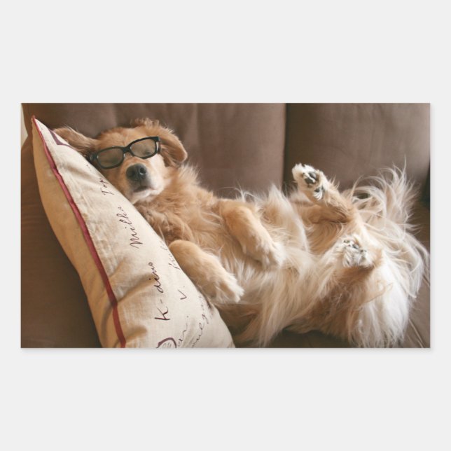 Golden Retriever Asleep on Pillow Rectangular Sticker (Front)