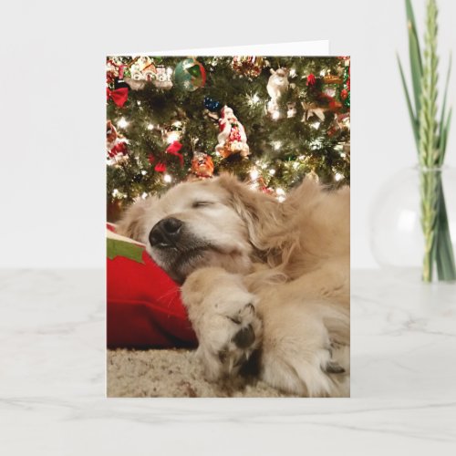 Golden Retriever Asleep Under the Christmas Tree Holiday Card