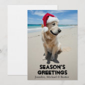 Golden Retriever at pristine beach (Front/Back)