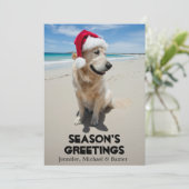 Golden Retriever at pristine beach (Standing Front)