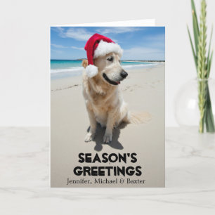 Golden Retriever at pristine beach Holiday Card