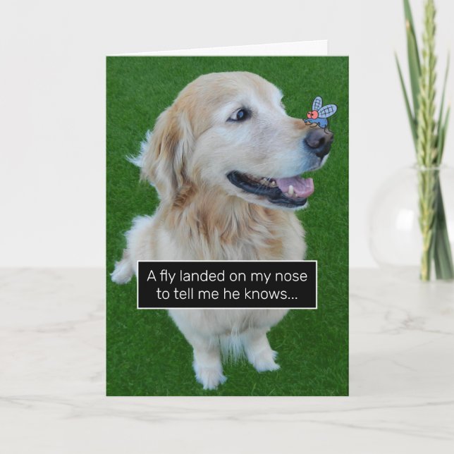 Golden Retriever Ate Birthday Rumor Spreading Fly  Card (Front)