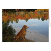 Golden Retriever Autumn at the Lake (Front Horizontal)