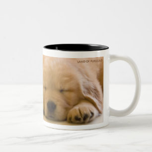 Golden Retriever Babies Two-Tone Coffee Mug